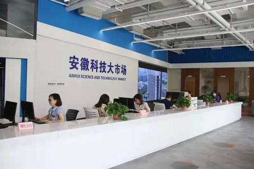 安徽科技大市場公開遴選科技信息咨詢服務機構，助力科技創新發展
